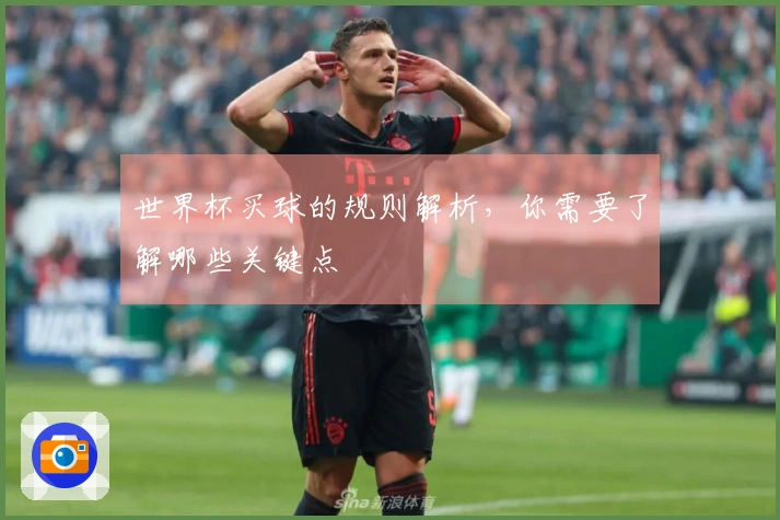 世界杯买球的规则解析，你需要了解哪些关键点