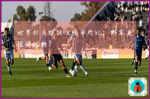 世界杯买球投注赔率对比：哪家更值得信赖？