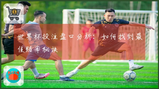 世界杯投注盘口分析：如何找到最佳赔率秘诀