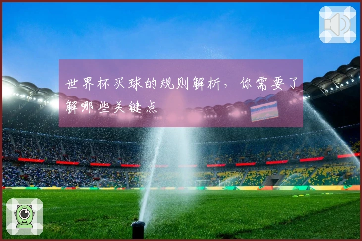 世界杯买球的规则解析，你需要了解哪些关键点